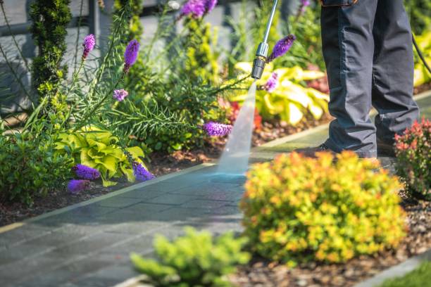 Best Dumpster Area Cleaning  in Harrington Park, NJ