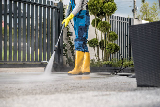 Best Spring Cleaning  in Harrington Park, NJ